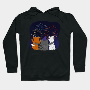 Celebration Hoodie